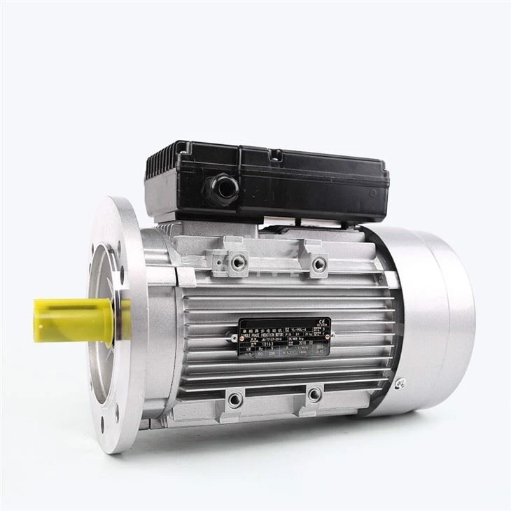 5HP Electric Motor