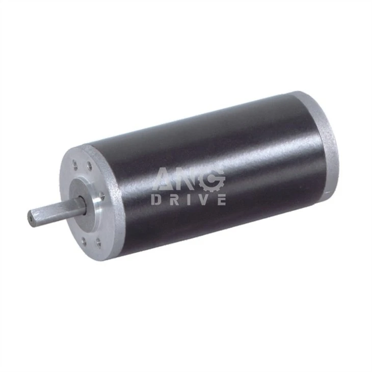 brushless dc electric motors