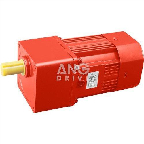 Hlau Gearmotor