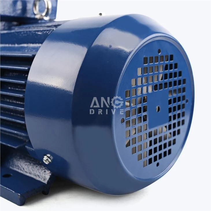 3KW Electric Motor