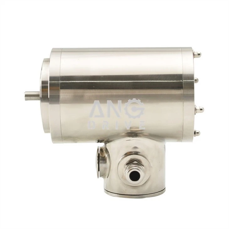 Food Conveyor Motor