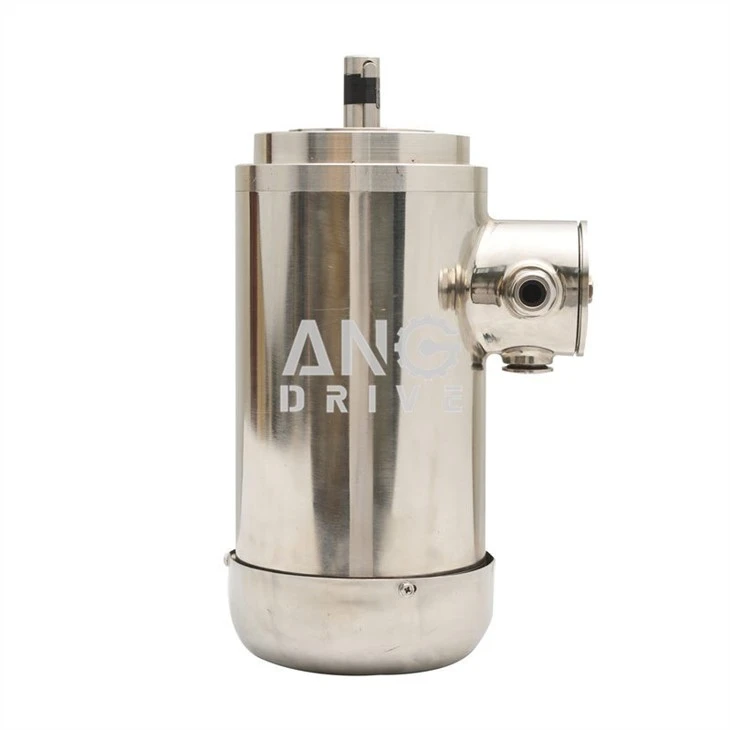 Food Conveyor Motor