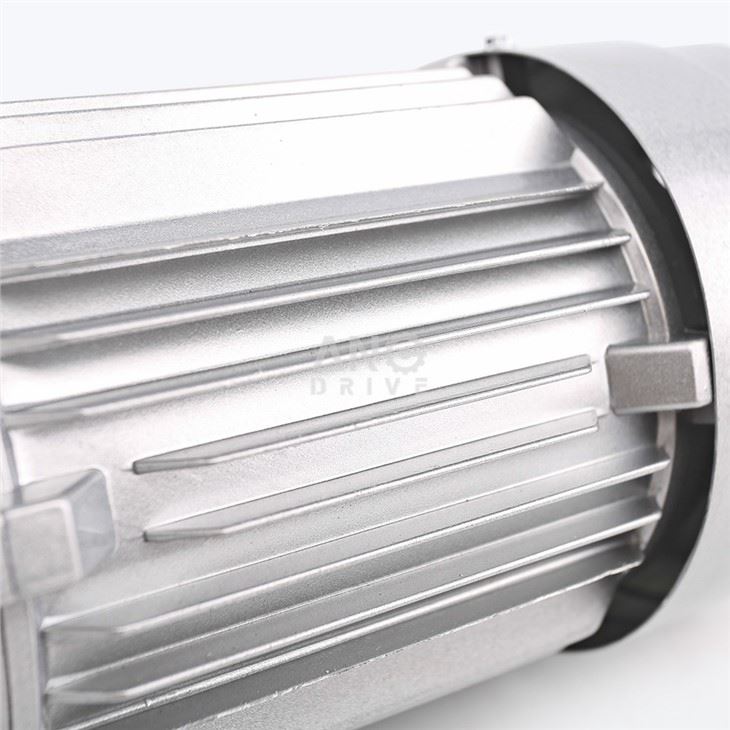 ac electrical motor